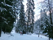 Skiwanderwochenende in Neuhammer 2013
